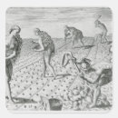 Search for florida native stickers 1591