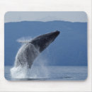 Search for humpback mousepads Outdoors