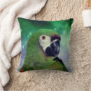 Search for green parrot cushions Animal
