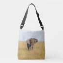 Search for bulls handbags Animal