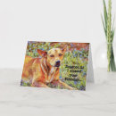 Search for sad birthday cards Cute