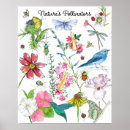 Search for insect posters Butterflies