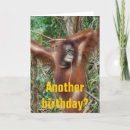 Search for 50th for women birthday cards Happy