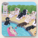 Search for labrador coasters Chocolate lab