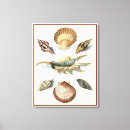 Search for beach canvas prints Nature