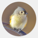 Search for tufted stickers Feathers