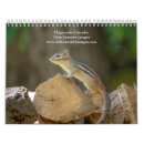 Search for chipmunk calendars Wildlife