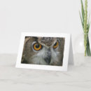 Search for bird of prey cards Eyes