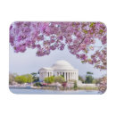 Search for cherry tree magnets Outdoors