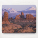 Search for jamie mousepads Judy wild