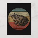 Search for vintage frog postcards Toad