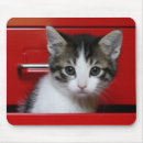 Search for peek mousepads Animal