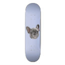 Search for bulldog skateboards Grey french bulldog