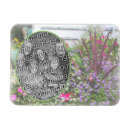 Search for backyard magnets Flower
