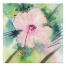 Search for hibiscus flower posters Tropical
