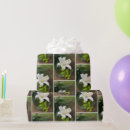 Search for twilight wrapping paper Dusk