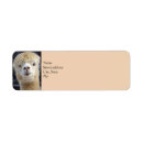 Search for peru return address labels Cute