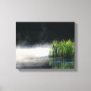 Search for cattails Water