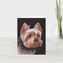 Search for yorkshire terrier cards Pet