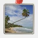 Search for scenic christmas tree decorations Nature