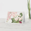 Search for phalaenopsis cards Flower
