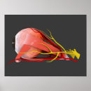 Search for conceptual posters Retinal artery