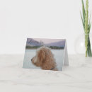 Search for golden doodle postcards Canine