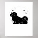Search for shih tzu puppy posters Pug