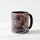 Search for chocolate labrador mugs Pet