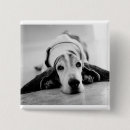 Search for non profit badges Dog