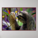 Search for three toed posters Sloth