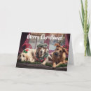 Search for antler christmas cards Cute