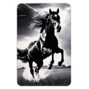 Search for stallion magnets Equine
