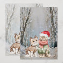 Search for angry cat christmas cards Cute