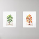 Search for colorful autumn leaves posters Watercolor