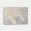 Search for tiger post it notes Cat