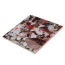 Search for maroon tiles Trendy