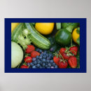 Search for vegetable posters Squash