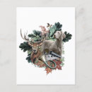 Search for weimaraners postcards Grey ghost