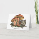 Search for fantasy christmas cards Cat