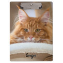 Search for cat clipboards Orange