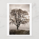 Search for love snow postcards Nature