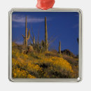 Search for pipe organ christmas tree decorations Cacti
