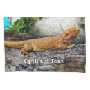 Search for dragon pillowcases Reptile