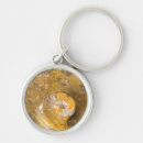 Search for fossils key rings Fossilised