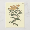 Search for victorian vertical postcards Floral
