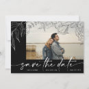 Search for border in white silver invitations Bride