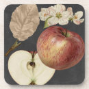 Search for food barware Fruit