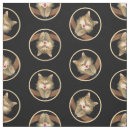 Search for tabby cat fabric Orange