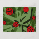 Search for ladybug kid postcards Bugs